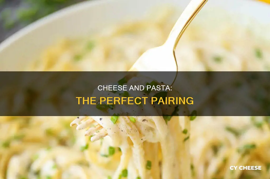 what kind of cheese is used in pasta