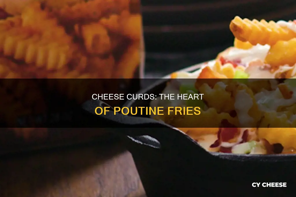 what kind of cheese is used in poutine fries