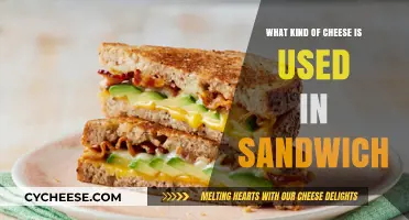 Cheese Types for the Perfect Sandwich