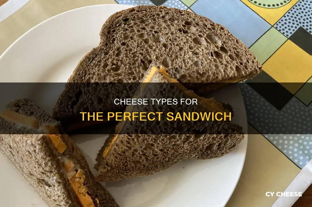 what kind of cheese is used in sandwich