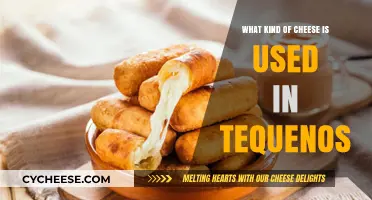 The Cheeses Used in Tequenos: A Guide