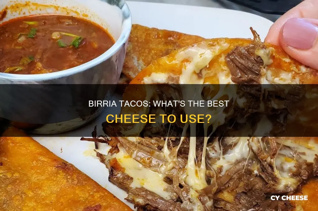what kind of cheese is used on birria tacos