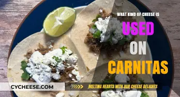 Carnitas: What Cheeses Work Best?