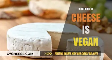 Vegan Cheese Varieties: Exploring Plant-Based Alternatives