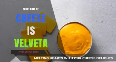 Velveta: A Creamy, Mild Cheese with a Smooth Texture