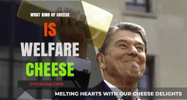 Welfare Cheese: A Cheesy Tale of Government Assistance