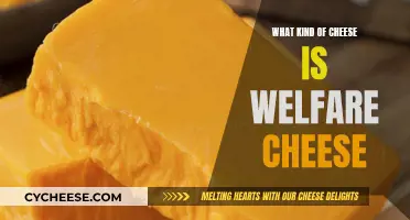Welfare Cheese: Understanding the History and Flavor
