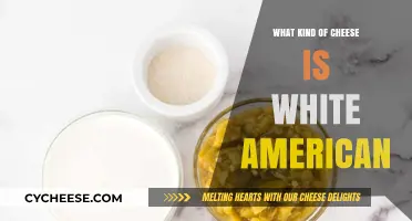 Unveiling the Mystery: White American Cheese Explained