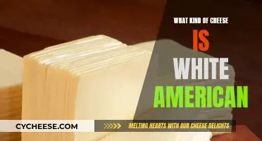 The Mystery of White American Cheese: Unveiling its Origin