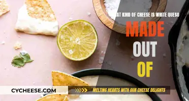 White Queso Cheese: What's the Secret Ingredient?