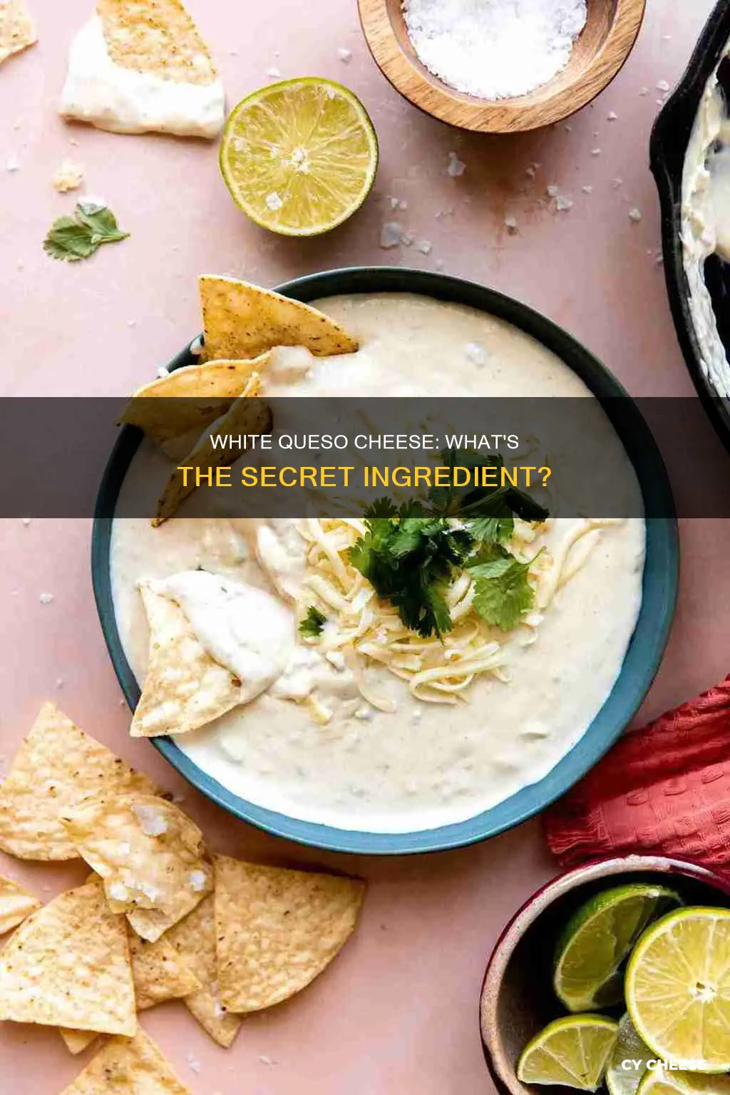 what kind of cheese is white queso made out of