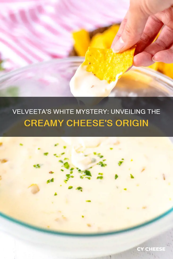 what kind of cheese is white velveeta