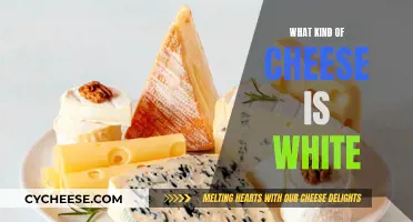 White Cheese Varieties: A Comprehensive Guide