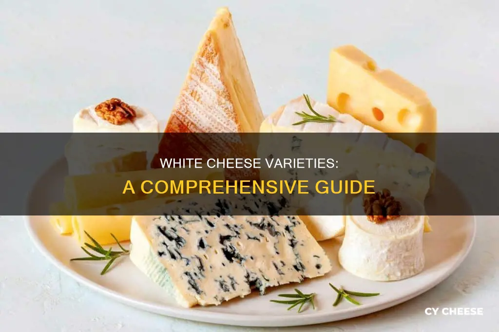 what kind of cheese is white