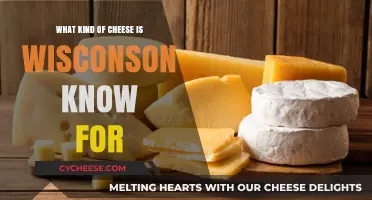 Wisconsin's Cheesy Delight: Exploring the Iconic Cheddar