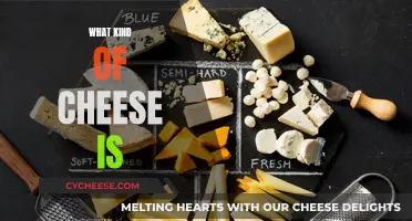 Cheese Varieties: A Comprehensive Guide to Cheeses