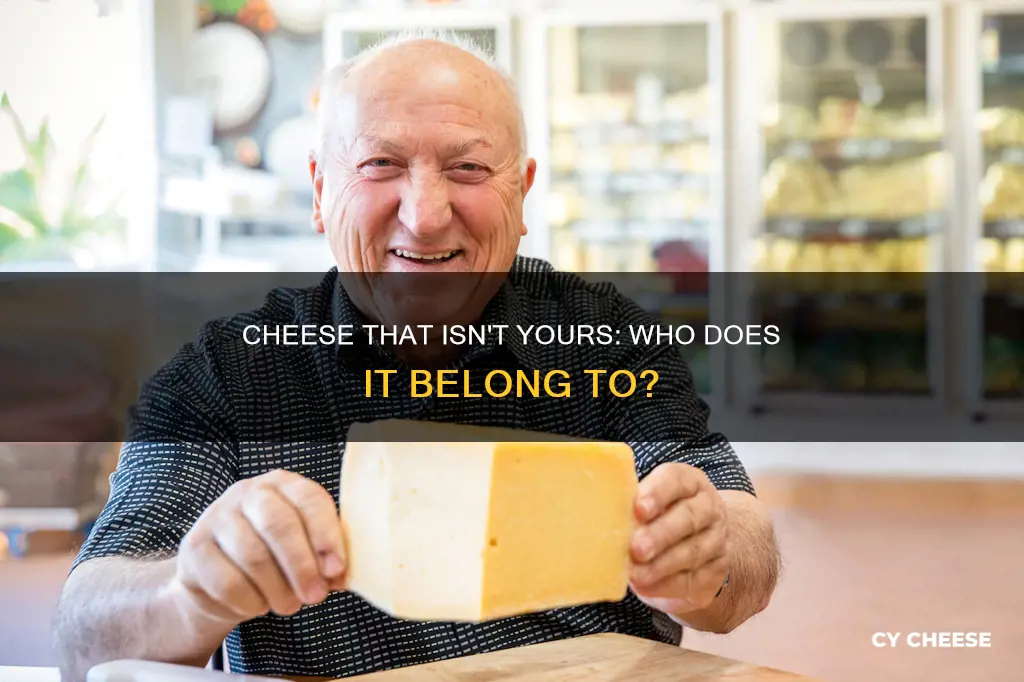 what kind of cheese isn t yours