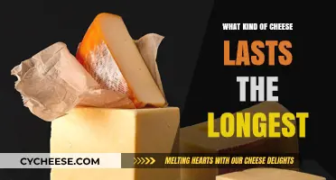 The Ultimate Guide to Long-Lasting Cheeses: Which One Reigns Supreme?