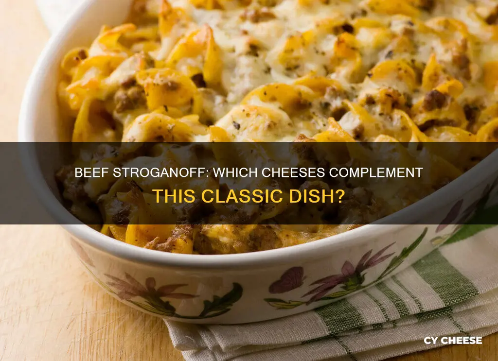 what kind of cheese like beef stroganoff