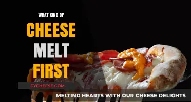 The Ultimate Guide to Which Cheese Melts First