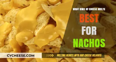 The Ultimate Guide to the Best Melting Cheese for Nachos