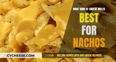 Cheese Options for the Ultimate Nachos Melting Experience
