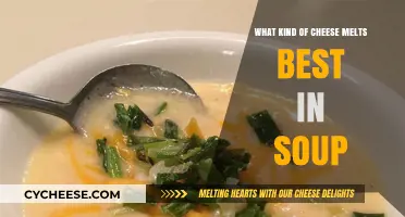 The Ultimate Guide to Melty Soup Toppings: Cheese Edition