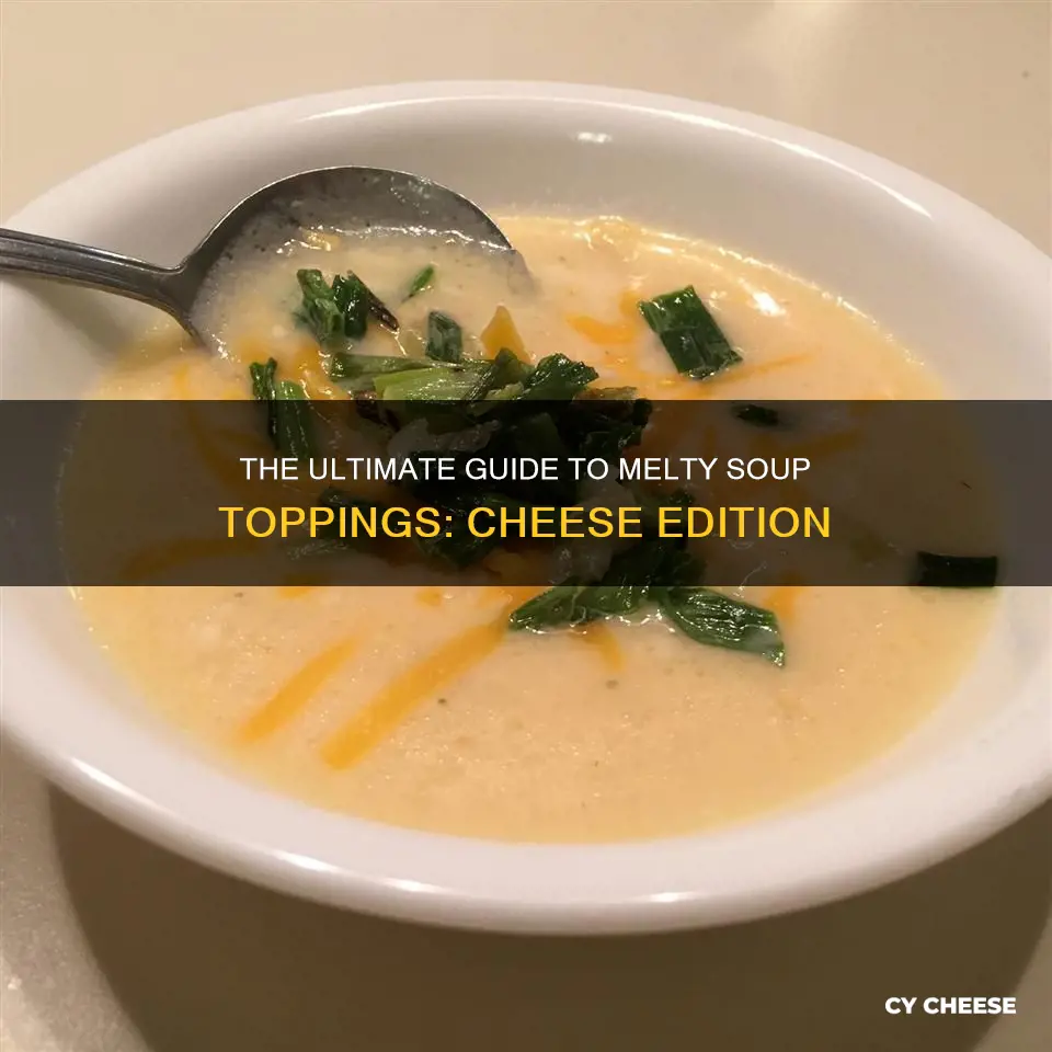 what kind of cheese melts best in soup