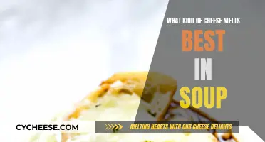 Cheese and Soup: Melting Magic in a Bowl