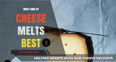 The Ultimate Guide to the Best Melting Cheese