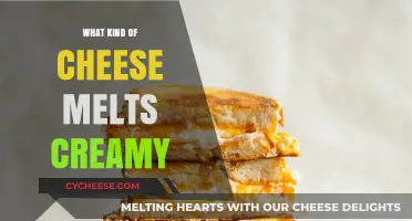 The Ultimate Guide to Creamy Melting Cheeses: A Tasty Adventure