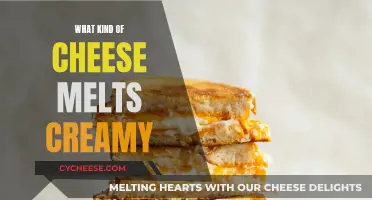Cheese Melting Secrets: Creamy, Dreamy Cheeses Revealed