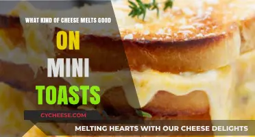 Best Melting Cheeses for Perfectly Crispy Mini Toasts: Top Picks
