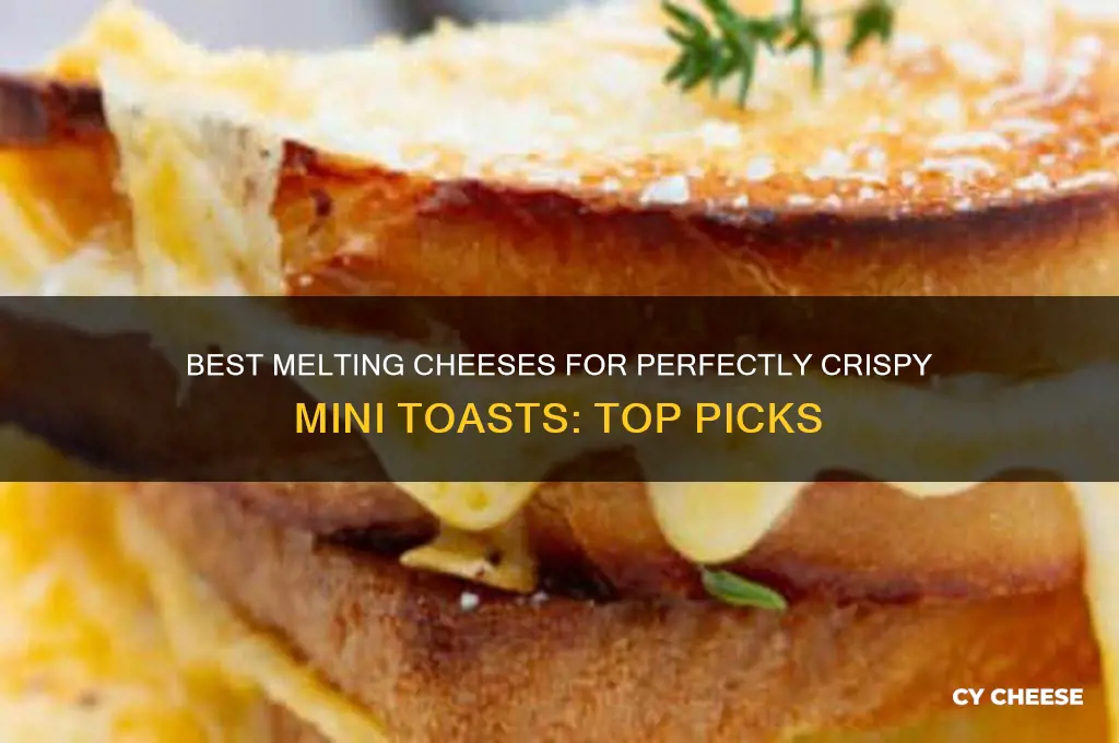 what kind of cheese melts good on mini toasts