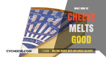 Best Melting Cheeses: Top Picks for Gooey, Creamy Perfection