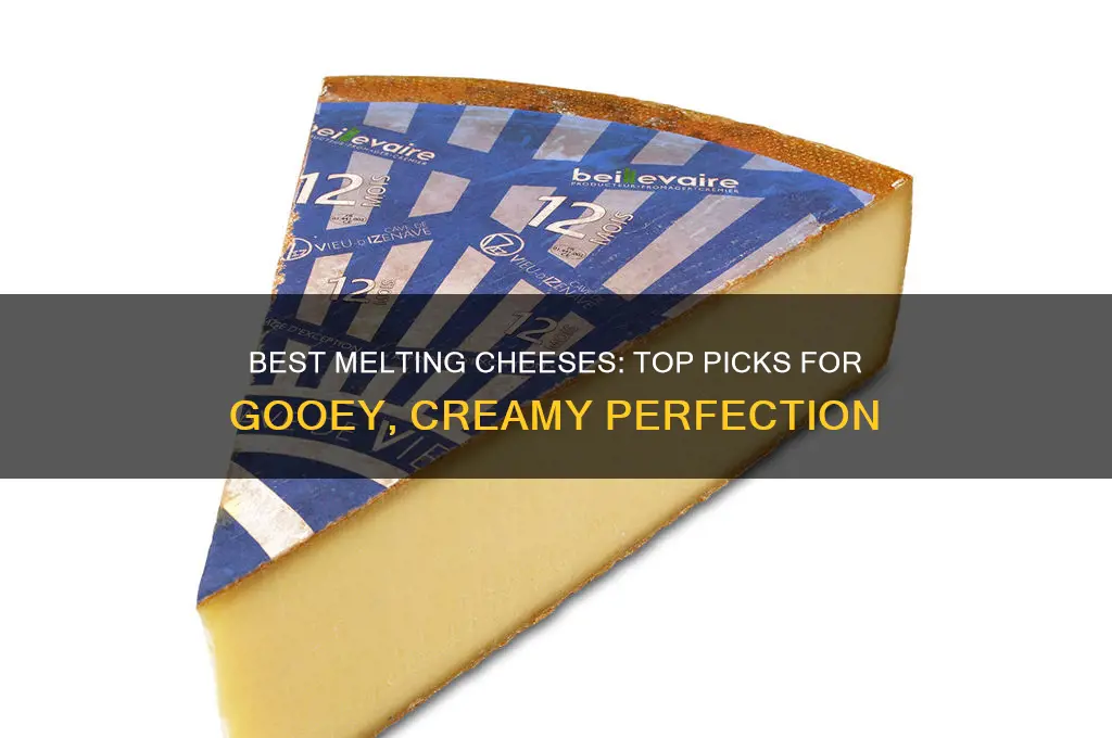 what kind of cheese melts good