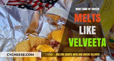 The Ultimate Guide to Cheeses That Melt Like Velveeta