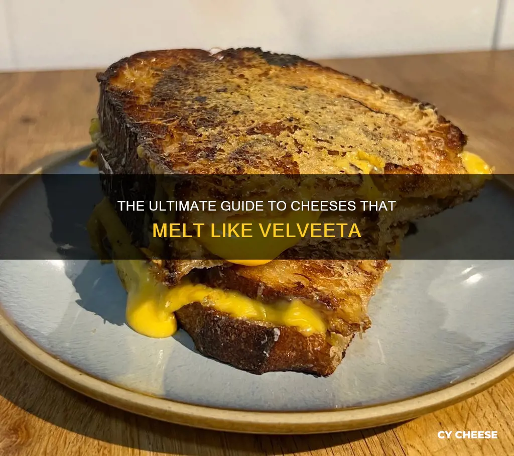 what kind of cheese melts like velveeta