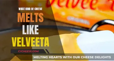 Cheese Like Velveeta: Melting Magic Revealed