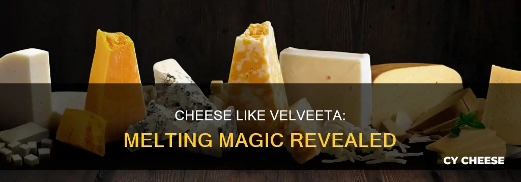 what kind of cheese melts like velveeta