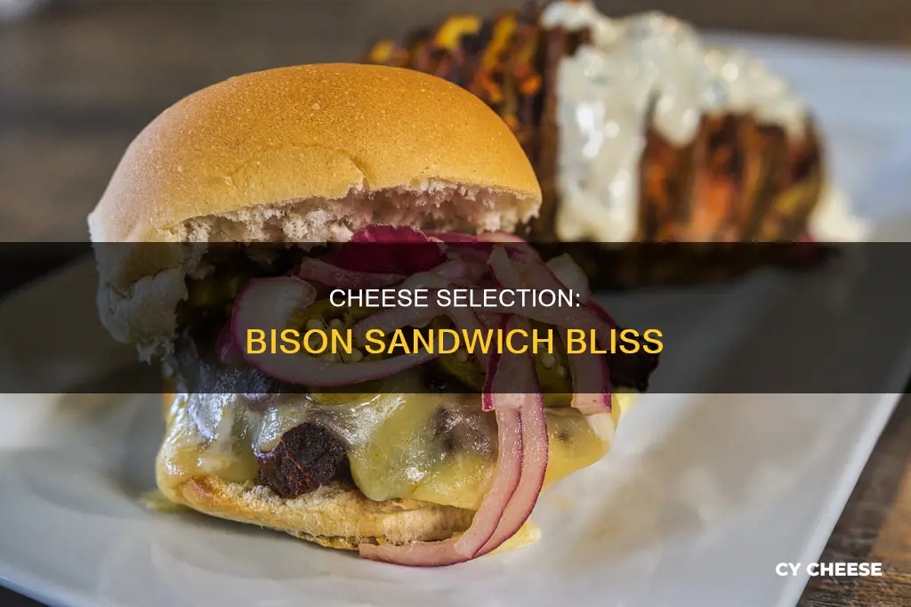 what kind of cheese on a bison sandwich