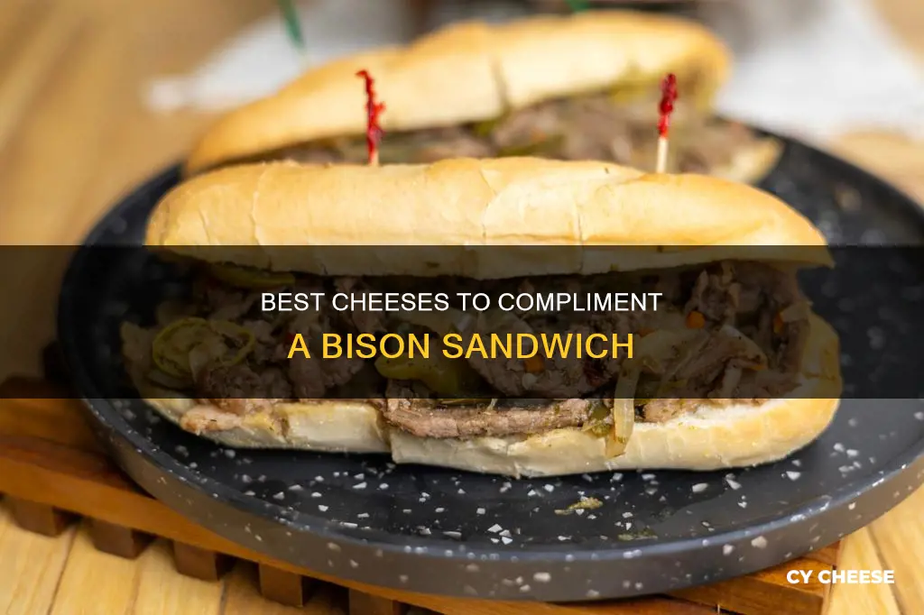 what kind of cheese on a bison sandwich
