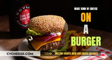 Cheese and Burger: Perfect Pairing for a Juicy Bite