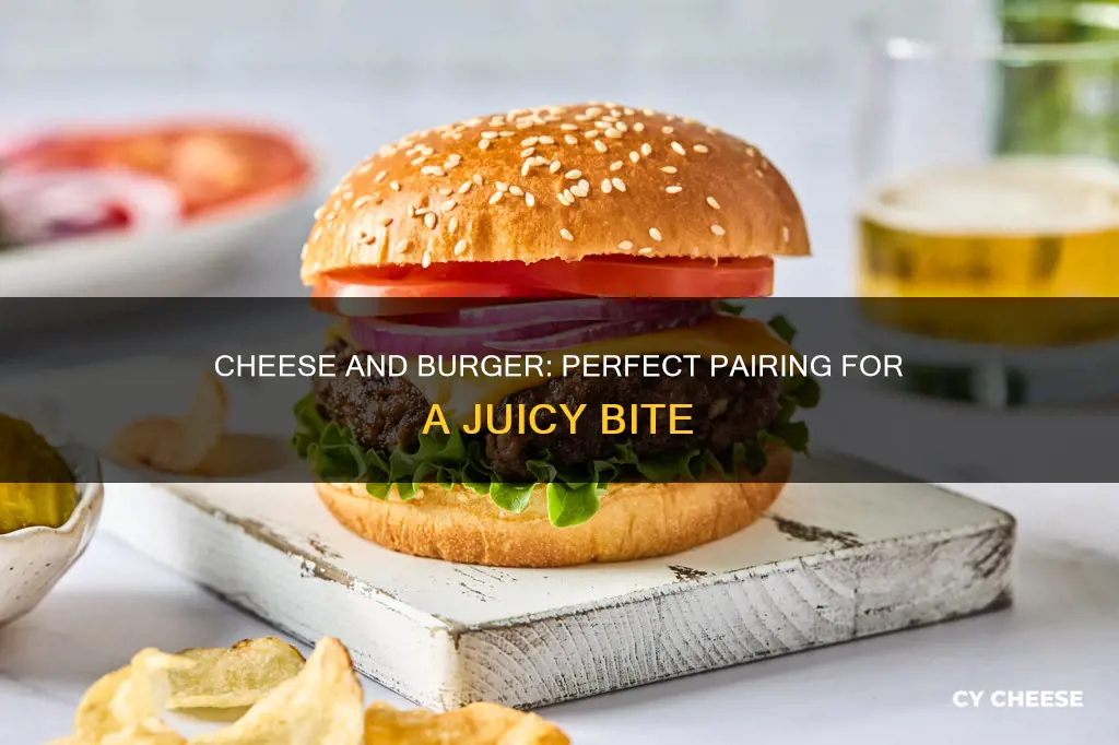what kind of cheese on a burger