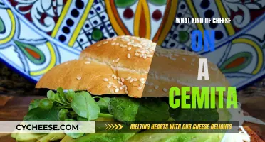 Choosing the Perfect Cheese for a Cemita Sandwich