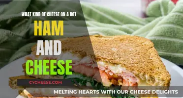Hot Ham and Cheese: Best Cheeses for a Melty Sandwich