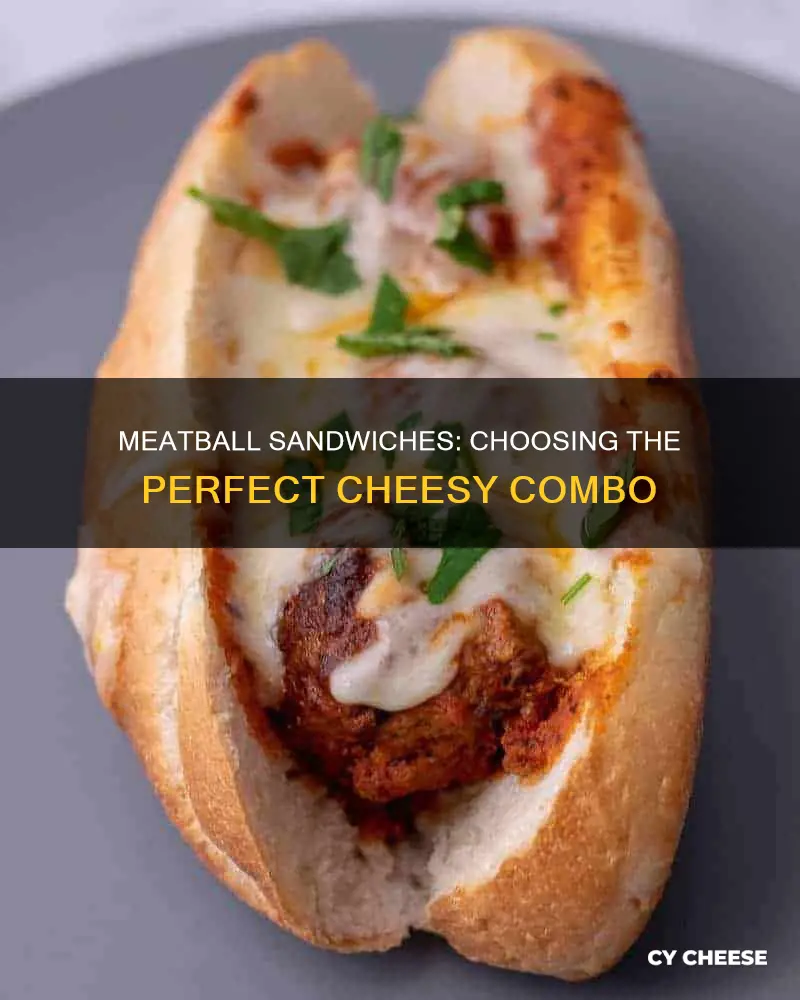 what kind of cheese on a meatball sandwich
