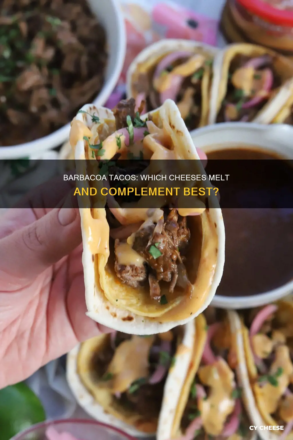 what kind of cheese on barbacoa tacos