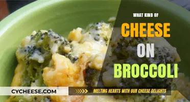 Cheesy Broccoli: A Guide to the Perfect Topping