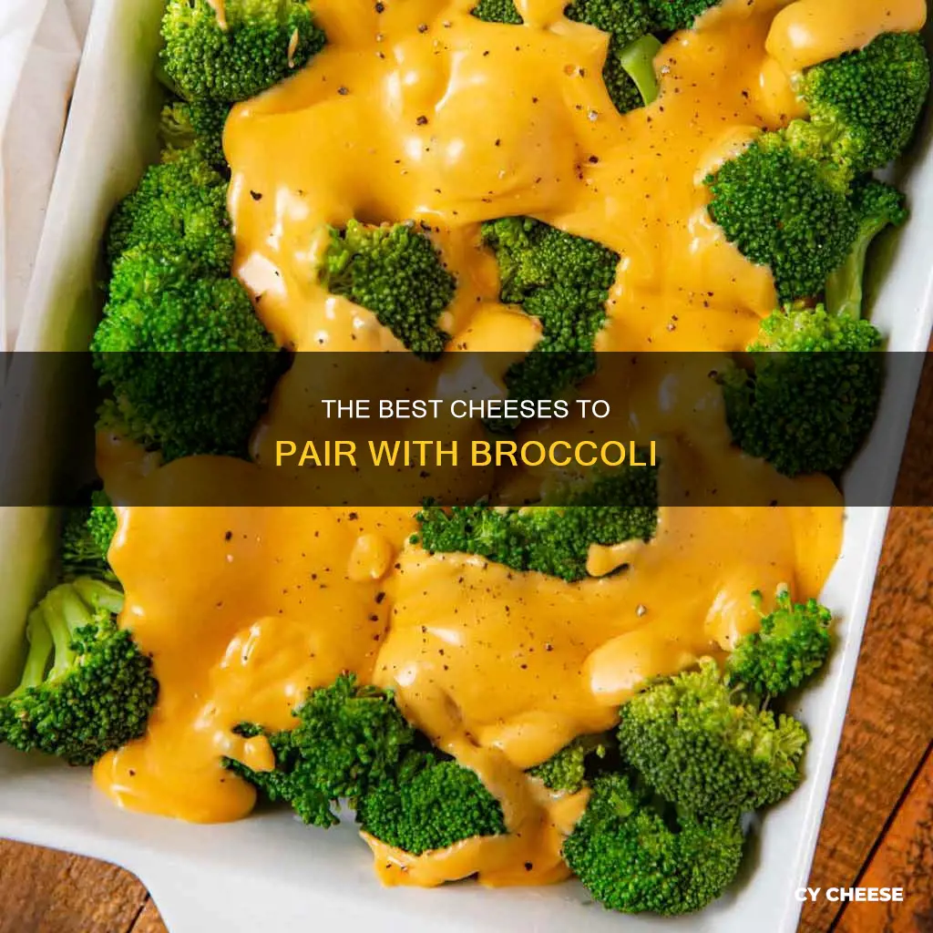 what kind of cheese on broccoli